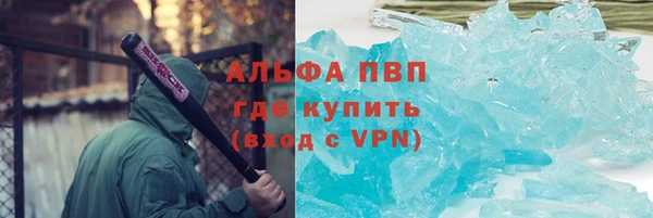 стаф Балахна