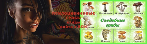 мет Белокуриха