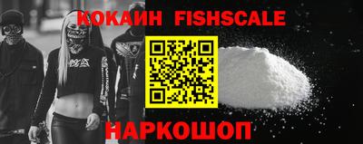 крисы Бийск