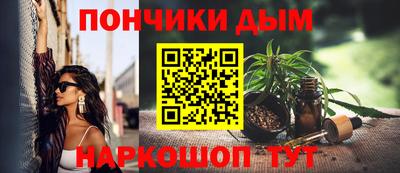 крисы Бийск