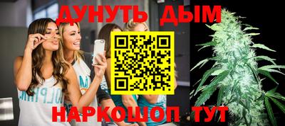 крисы Бийск