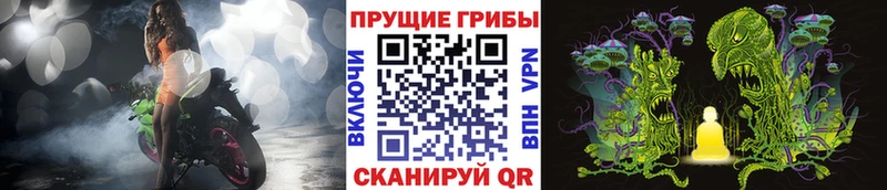 Галлюциногенные грибы Psilocybine cubensis  купить  цена  Великие Луки 